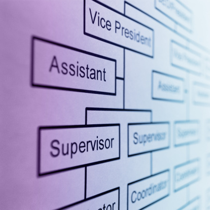 Detail of an Organizational Chart
