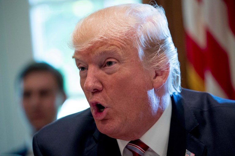 Canada, France, Germany, Italy, Japan and the United Kingdom signed the statement to 'reaffirm strong commitment to the swift and effective implementation of the Paris Agreement.' (AP Photo/Andrew Harnik)