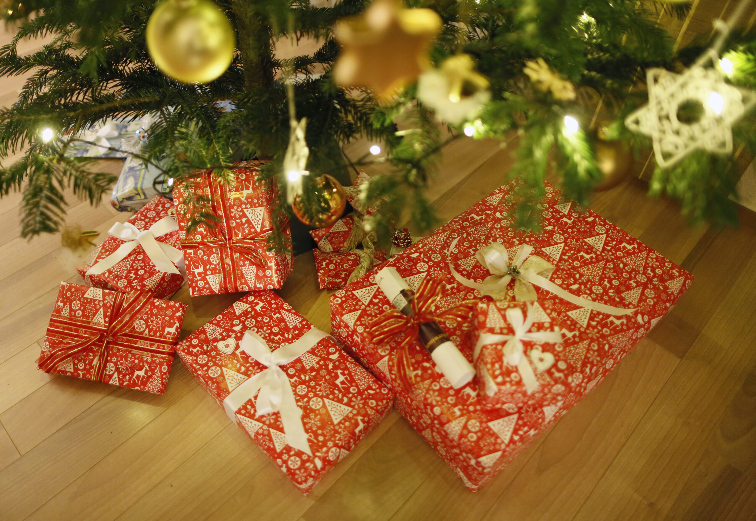 Wrapping Paper Rapture