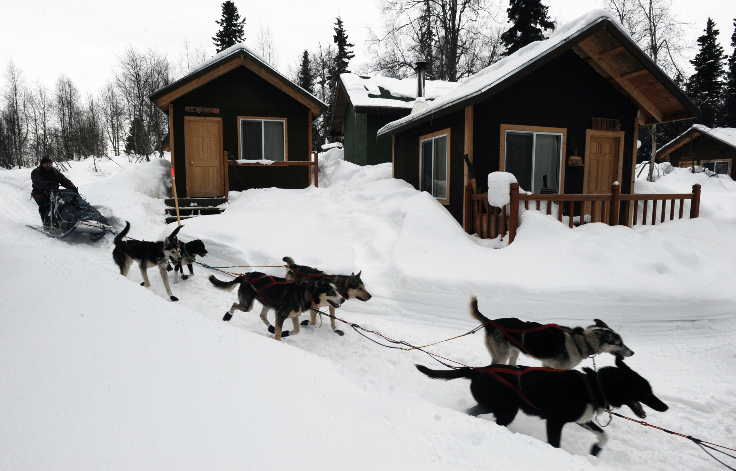 Arduous Iditarod demands mushers’ tactics, tricks