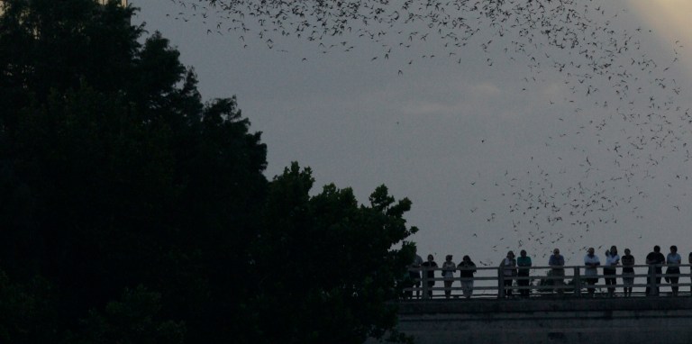 According to immigration attorney Laura Figuera, her client Yonathan Eduard Morales Galivz was taken to the hospital in the early hours one recent morning and is undergoing ongoing treatment 