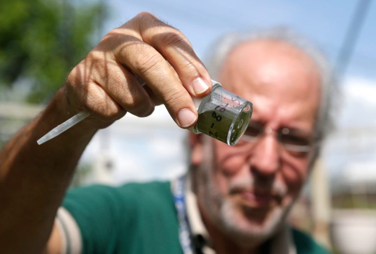 More than 60 percent of those polled want 