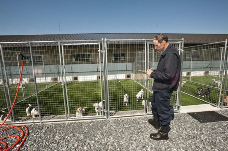   This handout photo provided by the Agriculture Department's Animal and Plant Health Inspection Services shows an inspection of a dog kennel in Lancaster, Pa. in April 2010. The Agriculture Department is cracking down on dog breeders who sell puppies over the Internet, issuing new regulations that will force them to apply for federal licenses. (AP Photo/Agriculture Department's Animal and Plant Health Inspection Services)  
