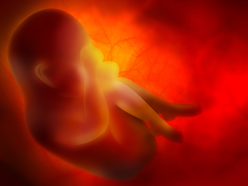 Pro-life initiatives lose big in Colorado and North Dakota