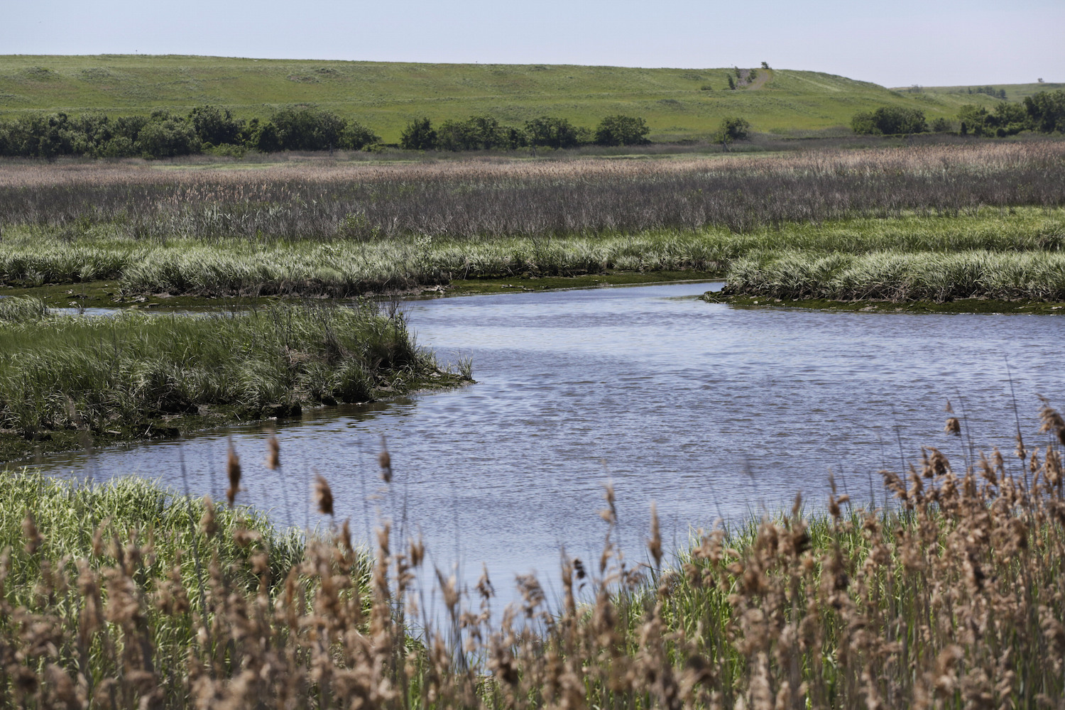 Dept. of Agriculture dumps $49 million into project to make wetlands wetter