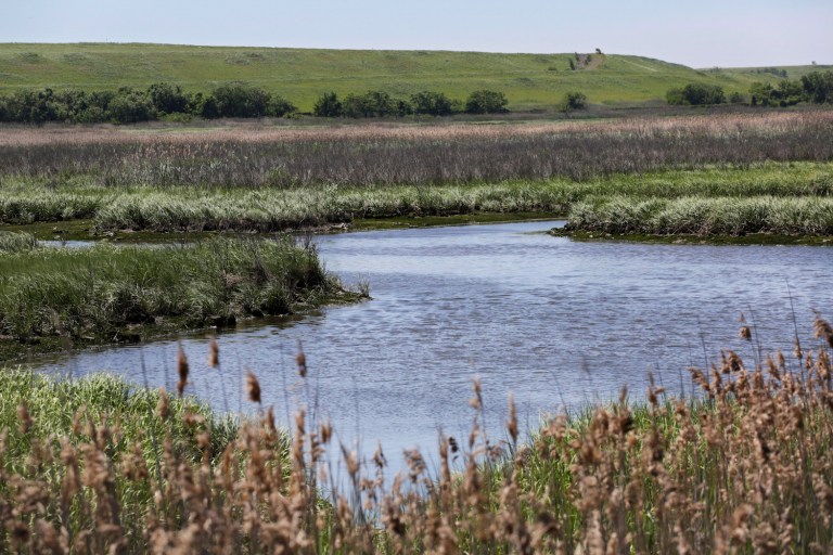 Landowners in 12 states will be eligible to participate in the program. (AP Photo/Mark Lennihan)