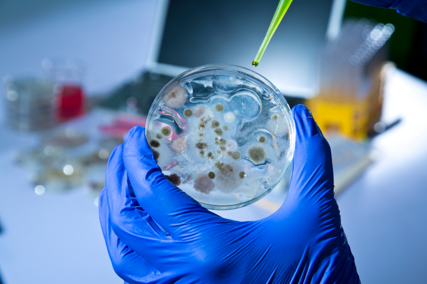 22 military personnel in South Korea possibly exposed to anthrax
