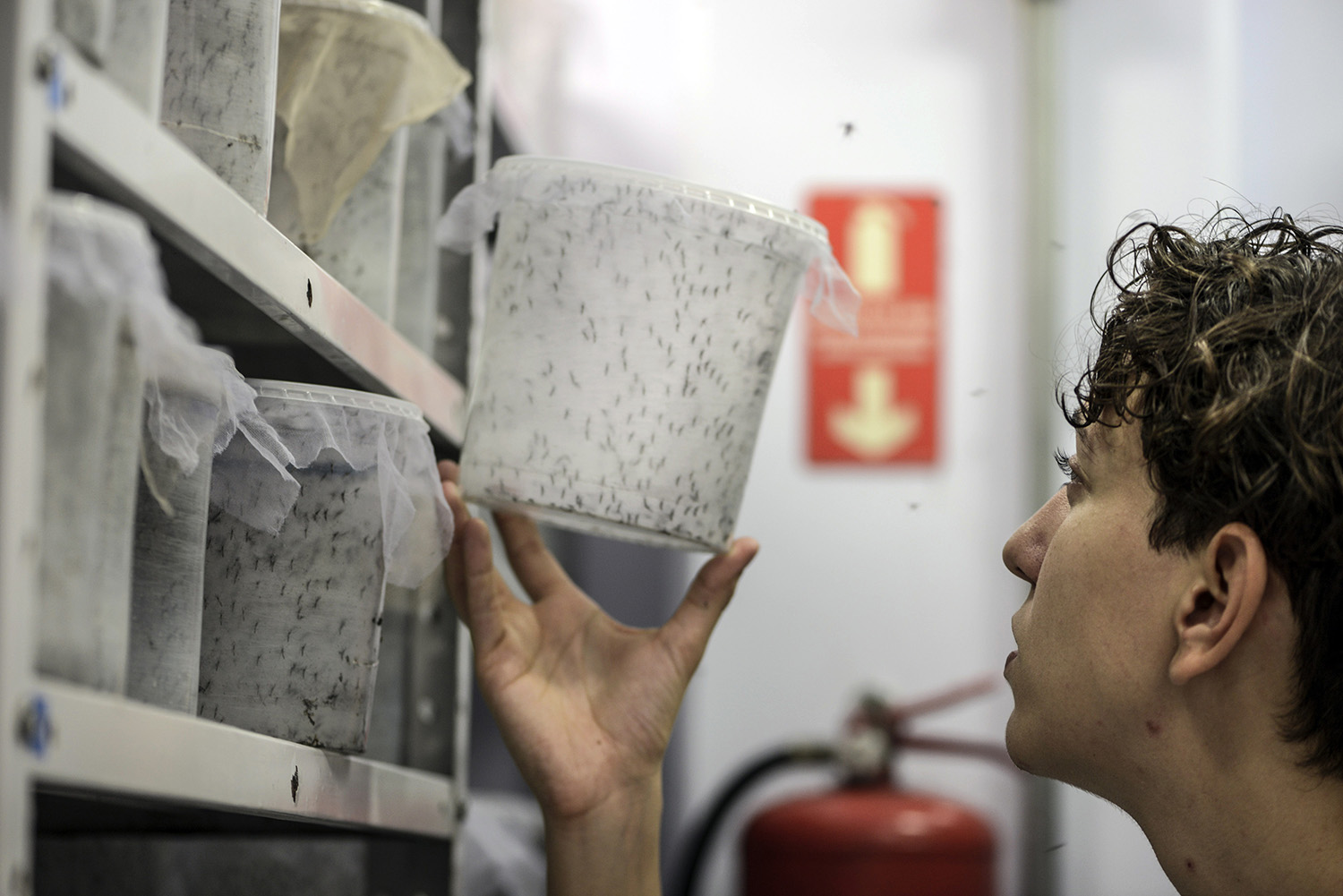 White House: GOP’s Zika plan is to ‘deny … there is a problem’