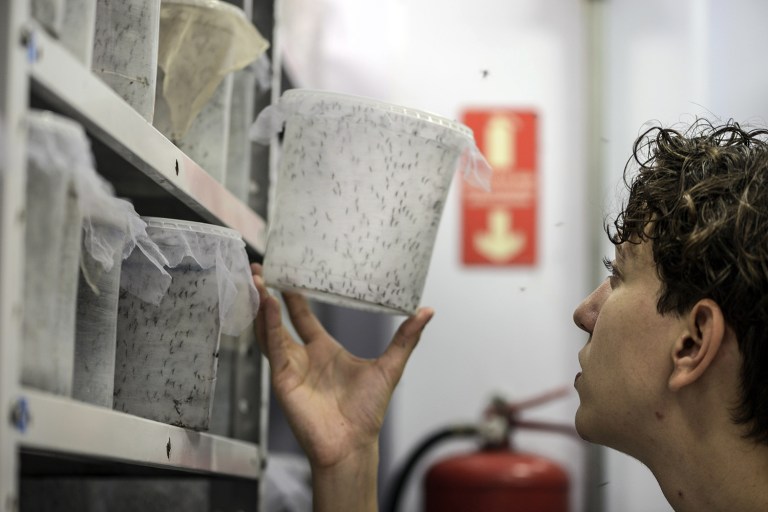 Obama has requested $1.9 billion in funding to help public health professionals across the country prepare for and fight the Zika virus. (Paulo Fridman/Bloomberg, File)