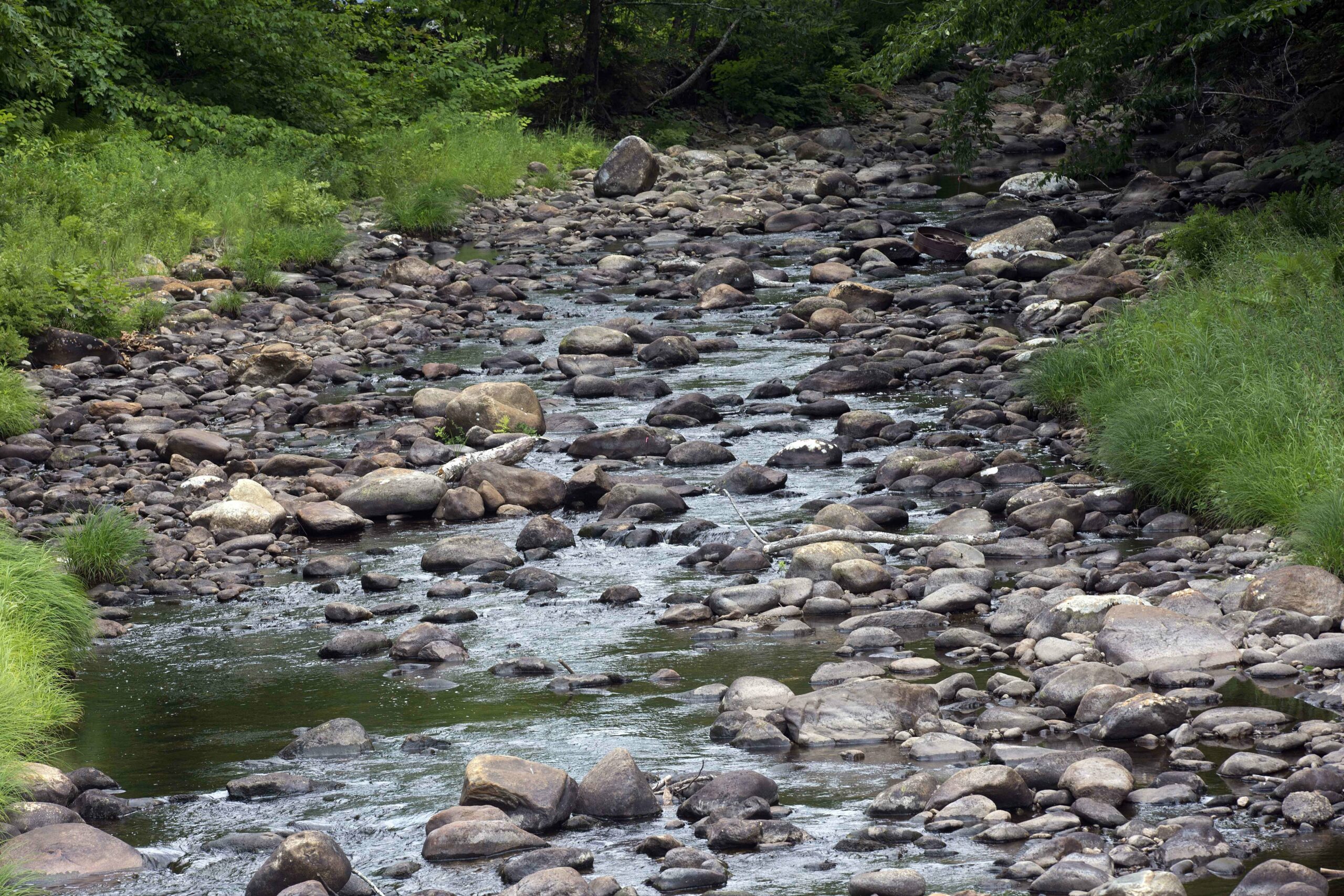 U.S. drought nearly doubles in 5 months, over 21% of country is dry