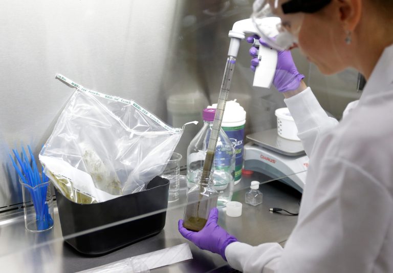 In this Thursday, June 19, 2014 photo, technical assistant Eliska Didyk transfers human fecal matter solution into a bottle in an OpenBiome laboratory, in Medford, Mass. With many patients no longer responding to potent antibiotics, stool has emerged as a surprisingly effective treatment for hard-to-treat gut infections. Fecal transplants pose a unique challenge for the Food and Drug Administration, which has been trying to confirm the safety of the new therapy by regulating it as an experimental drug. (AP Photo/Steven Senne)