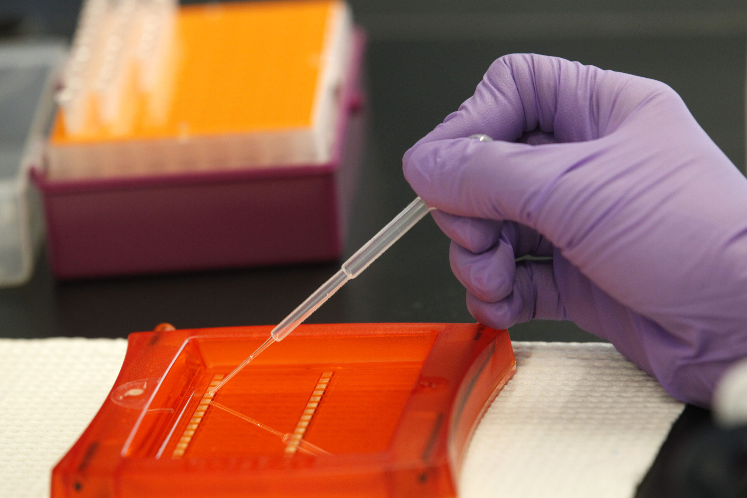 House takes stand on genetically modified humans