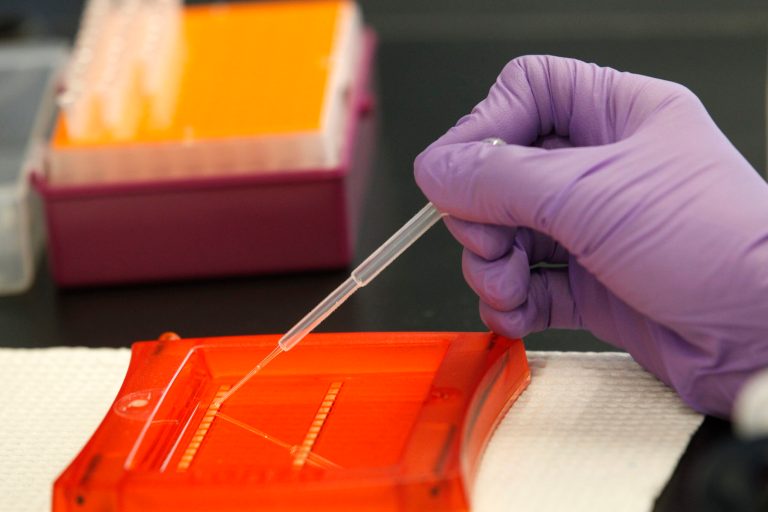 A House appropriations bill released this week for the Food and Drug Administration calls on the agency to not fund any research projects that involve editing the genes of a human embryo. (AP File)