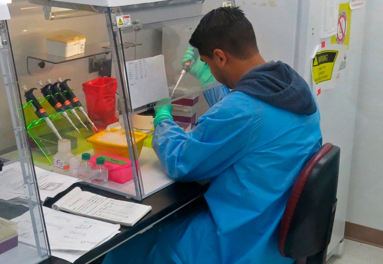 Gov. Rick Scott also called on the CDC to activate an emergency response team to help assist the Florida Department of Health to investigate, collect samples and assist with mosquito control efforts. (AP Photo/Danica Coto)