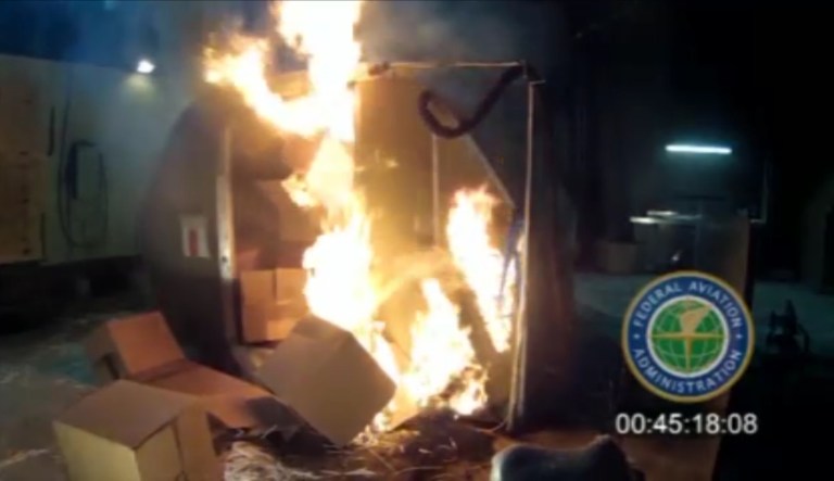 The FAA has not said if it plans to extend the proposed ban to domestic flights as well. (AP Photo/FAA, File)