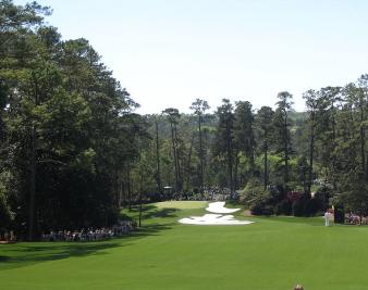 A Champion Named … Bubba