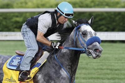 Matthew Stockman/Getty ImagesCreative Cause drew the No. 8 post and opened at 12-1 odds to win the Kentucky Derby at Churchill Downs on Saturday.