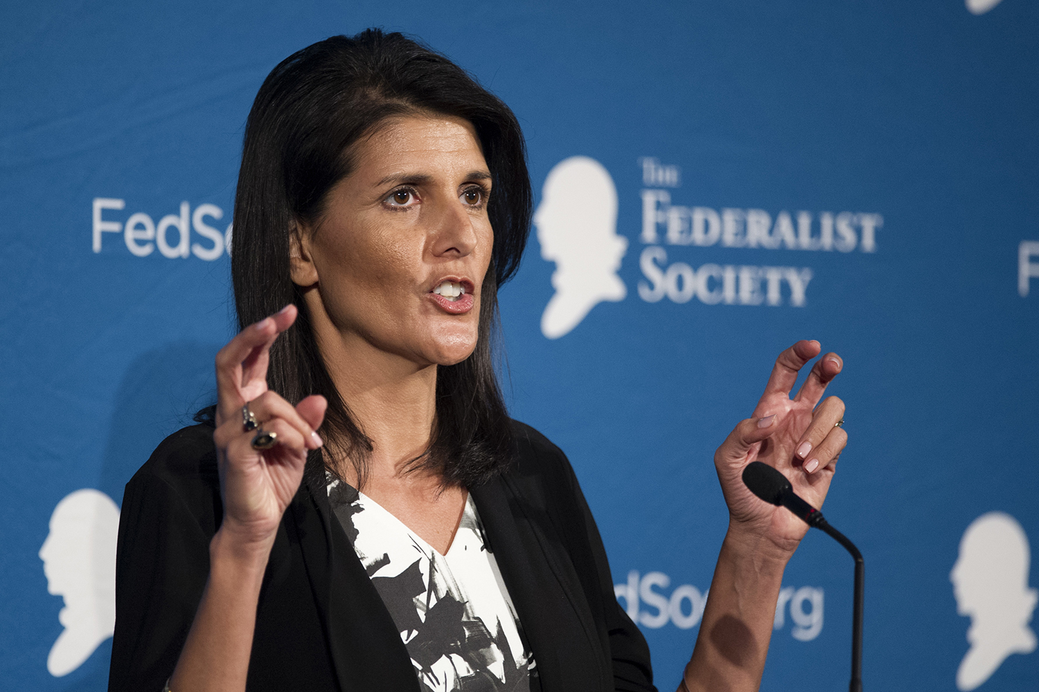 Haley: Trump didn’t win as a GOP champion