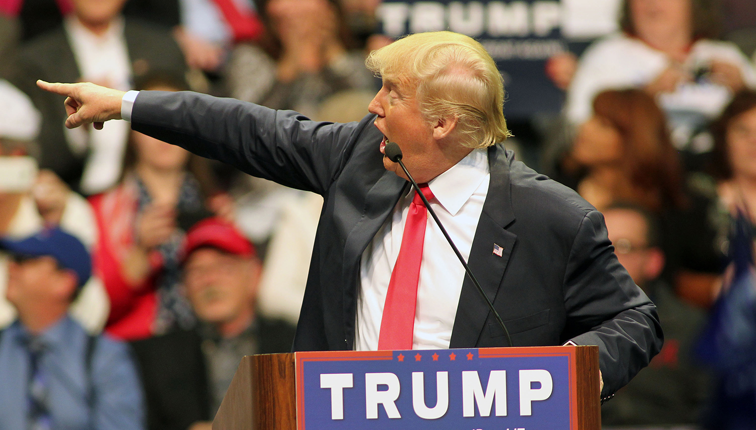 MSNBC host Katy Tur: Covering Trump was like being caged in a ‘modern-day Roman Coliseum’
