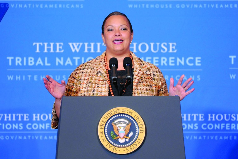 Ron Arnold: Meet your new regulator: A Big Green law school