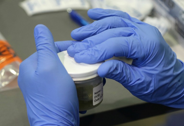 A Florida Department of Health employee processes a urine sample to test for the Zika virus, Wednesday, Sept. 14, 2016, in Miami Beach, Fla. (AP Photo/Lynne Sladky)