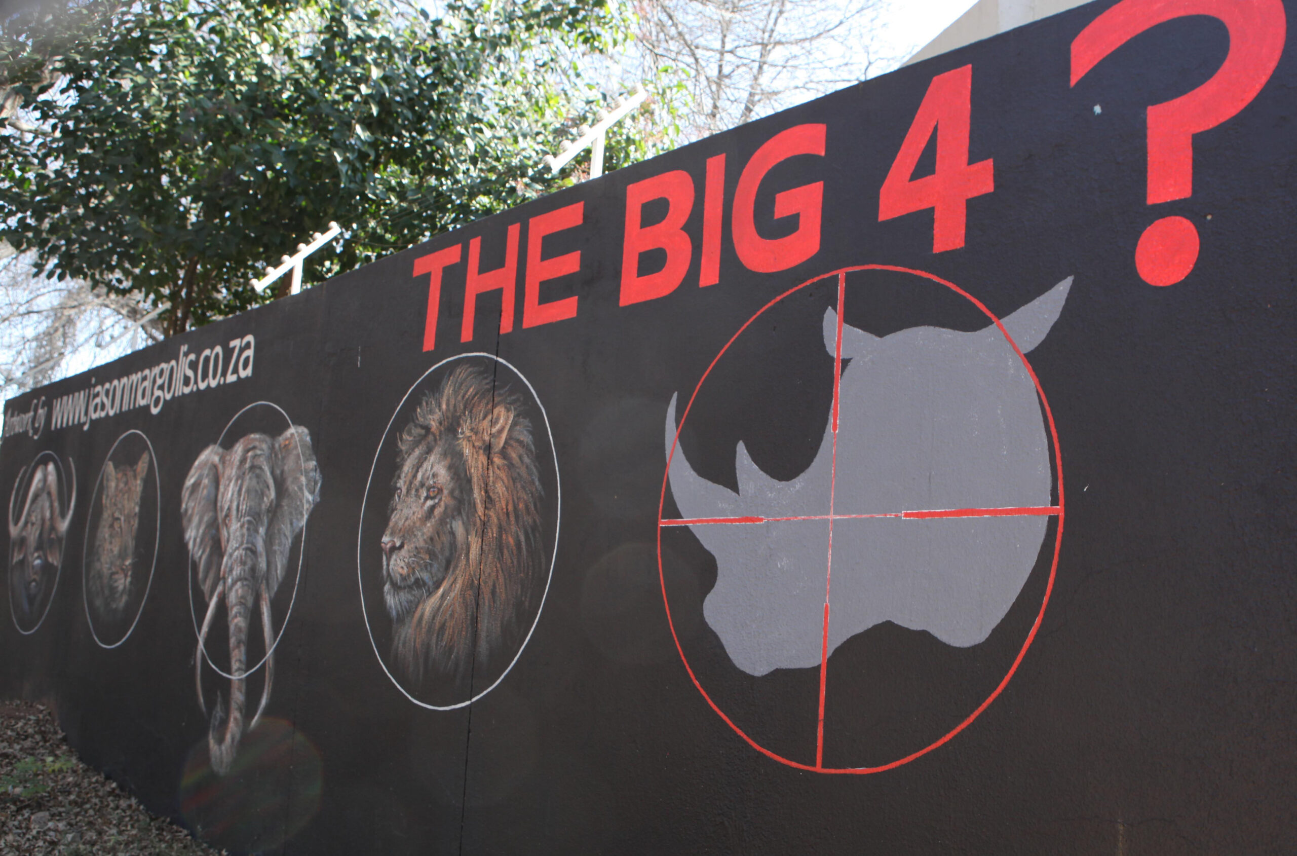South African park considers rhino evacuation