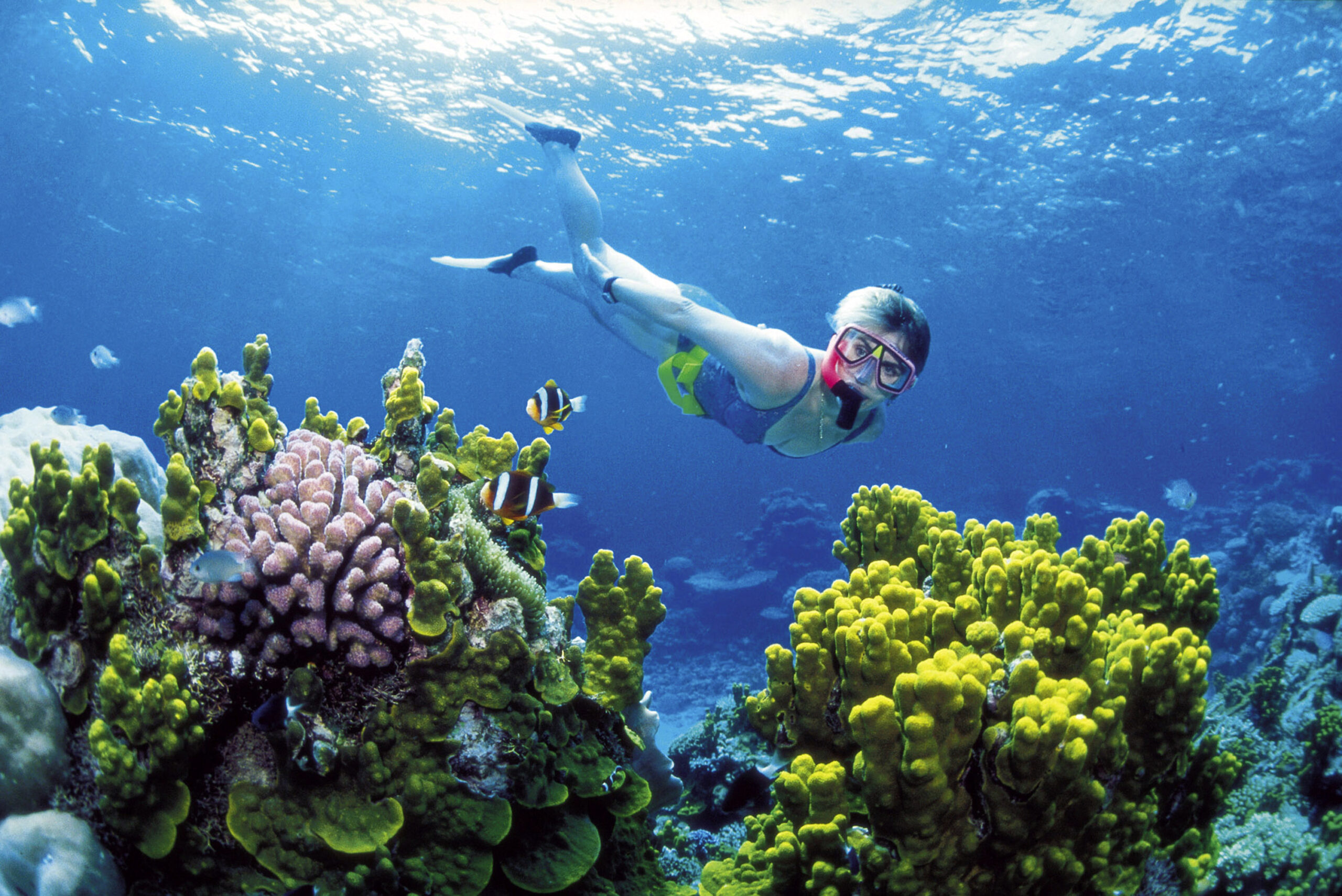 New plan avoids mud dumping in Barrier Reef Park