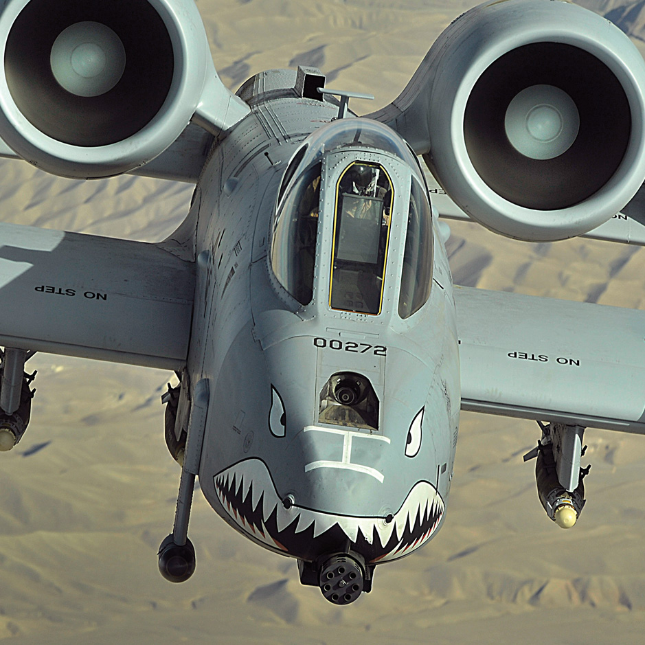 The Warthog Lives!