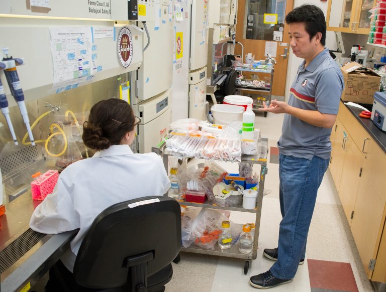 Professor Hengli Tang, right, is a lead author of a lab study that found the Zika virus infects embryonic cells that help form the brain, adding to evidence that Zika causes a serious birth defect. (FSU Photography Services/Florida State University via AP)