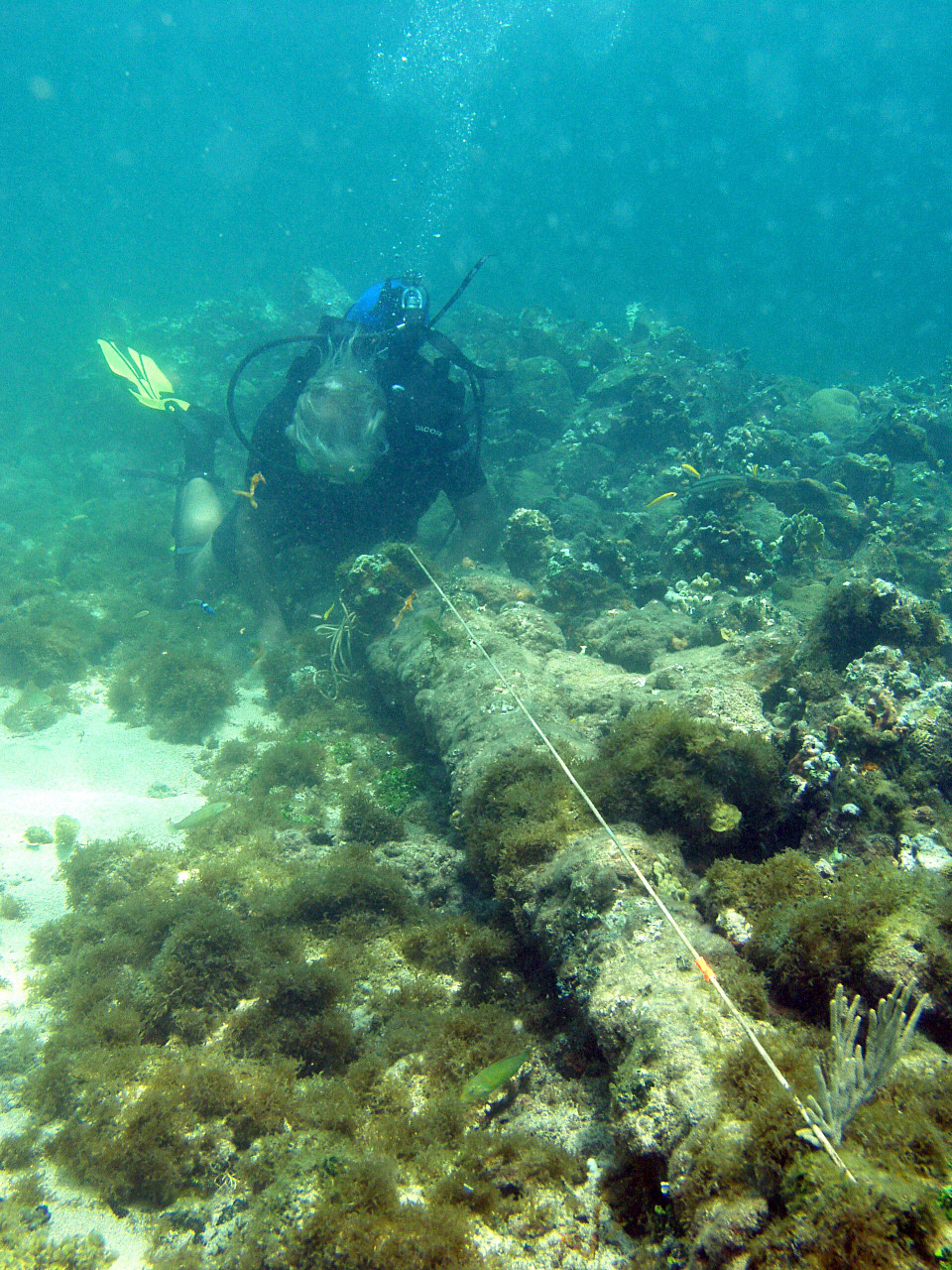 Explorer: Shipwreck off Haiti may be Santa Maria