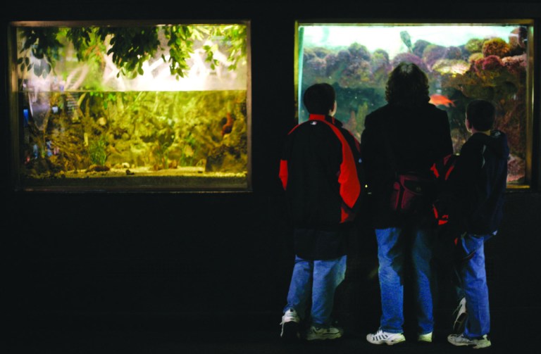 National Aquarium, feds talk about staying in D.C.
