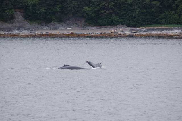 The Standard at Sea: Day 2