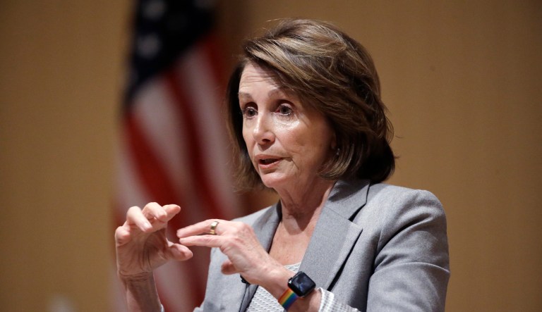 Nancy Pelosi was protesting pending plans by Republicans to pass a government spending bill that doesn't include any language to help younger immigrants who came to the country illegally as children. (AP Photo/Steven Senne)