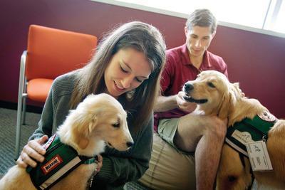 Colleges go to the dogs for exam-time stress busters