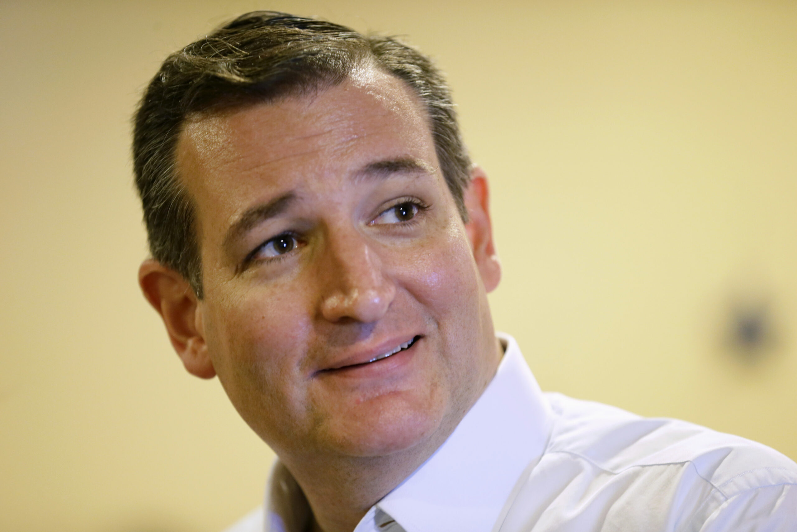 Ted Cruz buys TV time in Iowa