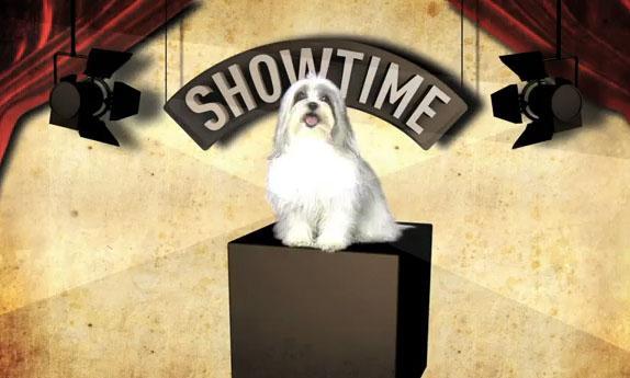 Ron Paul’s Big Dog ad: Rivals are little Shih Tzus
