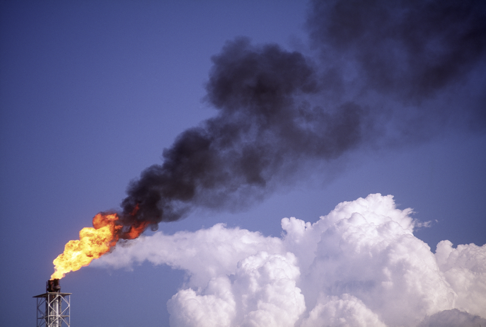 Washington voters to consider nation’s first carbon tax