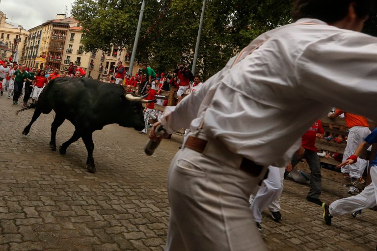 Revelers run in front of a Victoriano del Rio ranch fighting bull during the running of the bulls of the San Fermin festival, in Pamplona, Spain, Wednesday, July 9, 2014. Revelers from around the world arrive in Pamplona every year to take part on some of the eight days of the running of the bulls glorified by Ernest Hemingway's 1926 novel 