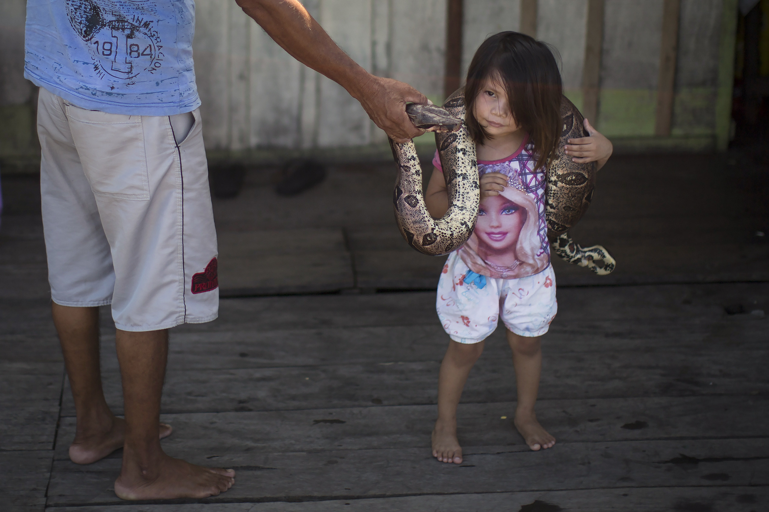 Brazil Cup visitors: exotic Amazon animals abound