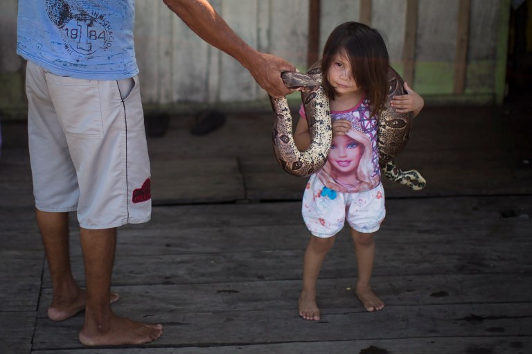 In this May 20, 2014 photo, Evandro Correia da Silva, left, holds a snake as his 3-year-old daughter Kelly Silva places it around her neck on their family's floating house in the Lago do Janauari, or Solimoes River, near Manaus, Brazil. Their exotic houseguests help the 35-year-old fisherman and his family eke out a living on the opposite bank from Manaus, a World Cup host city where the U.S., English and Italian teams will be among those battling it out. (AP Photo/Felipe Dana)