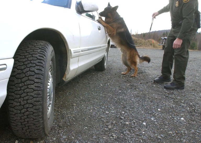 A K-9 unit alerted agents of possible narcotics or humans concealed inside a cargo tank being pulled by a Kenworth tractor, which a subsequent X-Ray scan of the vehicle confirmed. (AP Photo)