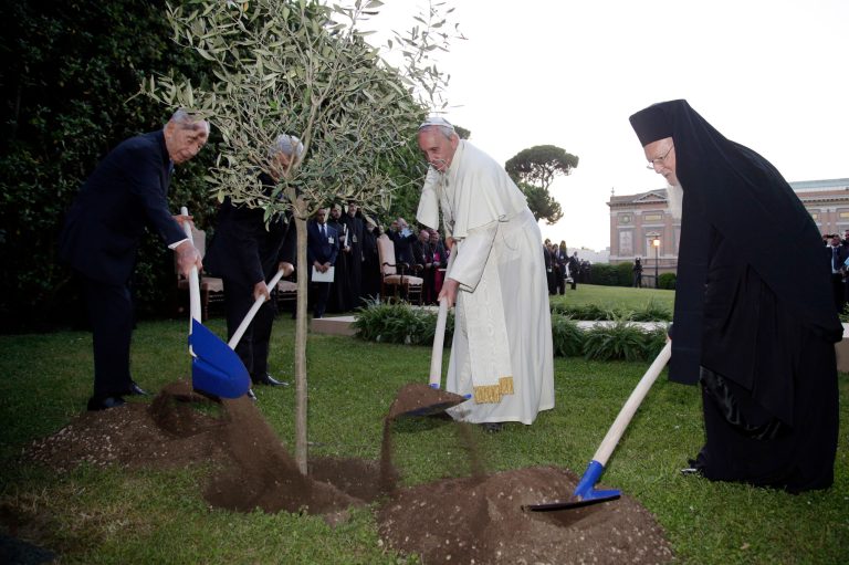 Pope Francis plants an olive tree with Israel's President Shimon Peres, left, Palestinian President Mahmoud Abbas, second from left, and Ecumenical Patriarch Bartholomew I, right, in a sign of peace during an evening of peace prayers in the Vatican gardens, Sunday, June 8, 2014. Pope Francis waded head-first into Mideast peace-making Sunday, welcoming the Israeli and Palestinian presidents to the Vatican for an evening of peace prayers just weeks after the last round of U.S.-sponsored negotiations collapsed. (AP Photo/Max Rossi, Pool)