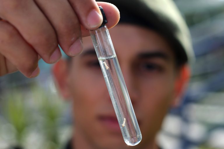 World Health Organization sought to crush a host of rumors about the Zika virus. (AP Photo/Eraldo Peres)