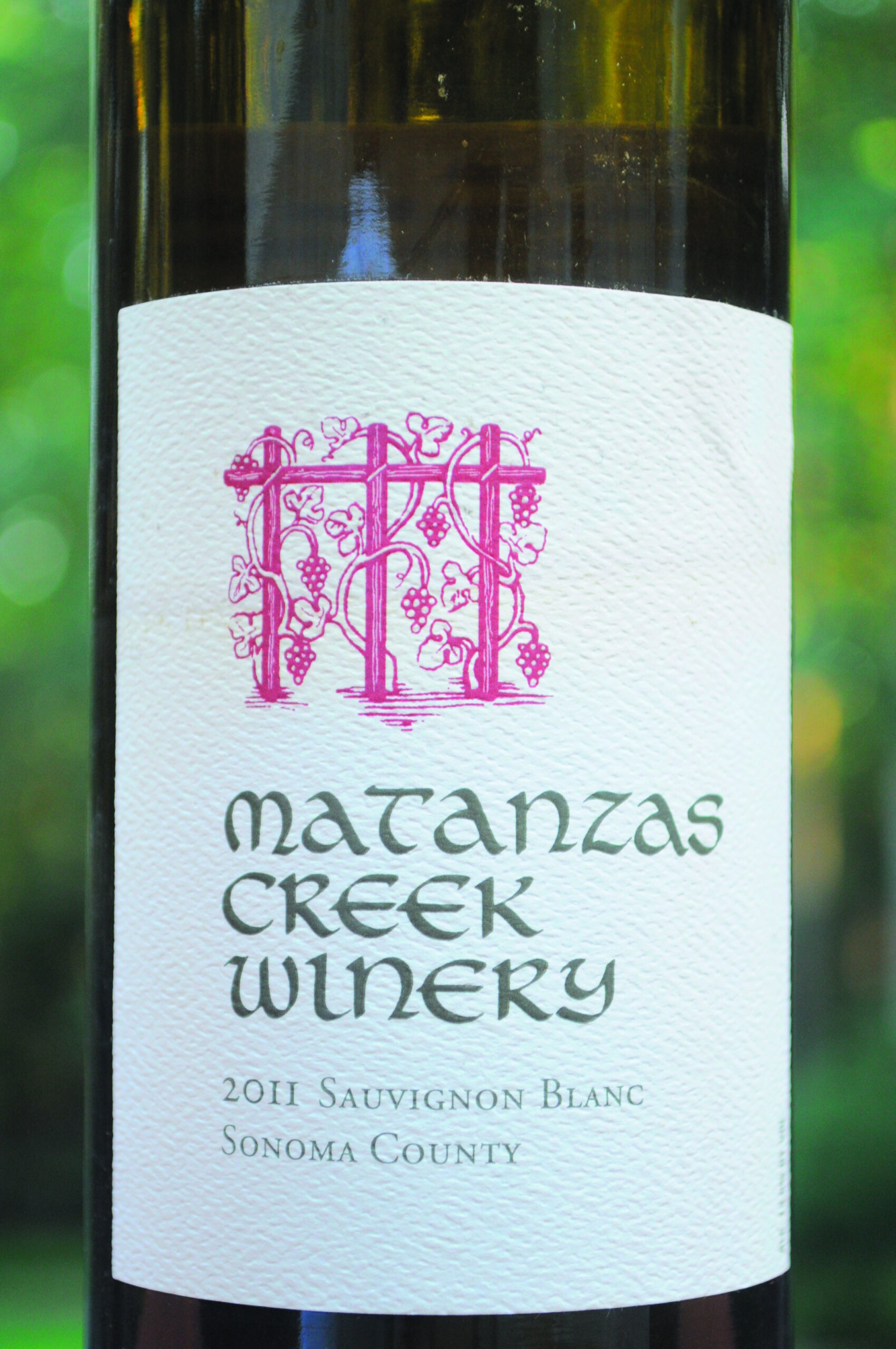 Ask and the Vine Guy answers