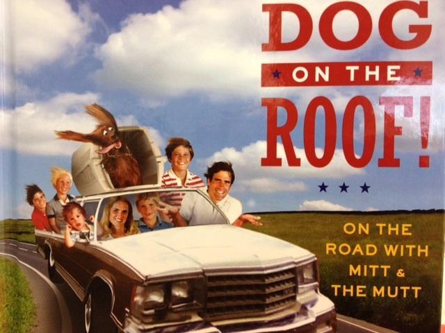 Seamus Romney book stinks