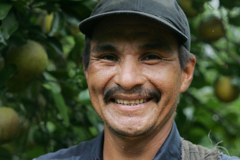 ARCADIA, FL - JULY 13:  Juan Trejo Angeles, who is in the U.S. on an H-2A guest worker visa, picks oranges for Sorrells Brothers Packing Co., Inc. July 13, 2006 in Arcadia, Florida. For the second straight season, late-maturing oranges in hurricane-hit areas will leave Florida with one of its worst citrus crops in more than a decade with labor shortages making it difficult to harvest the late-season Valencia oranges.  (Photo by Joe Raedle/Getty Images)
