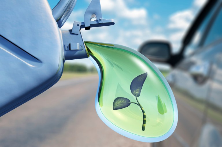 Since 2005, the Renewable Fuel Standard has required fuel sold in the United States to contain biofuels, of which corn-based ethanol is the most common.