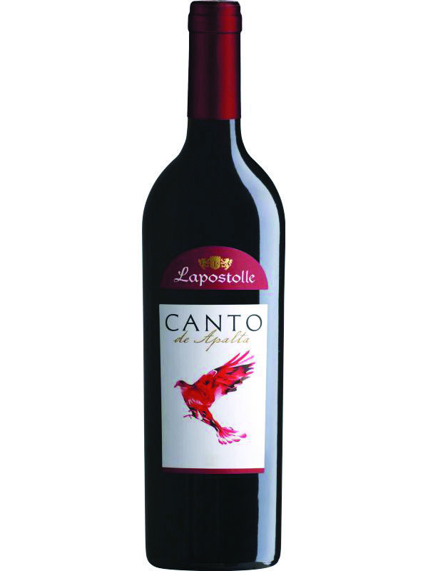 The Vine Guy: Value wines from Chile