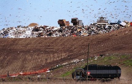 The Department of Agriculture said that in 2014, 14 percent of garbage dumped into landfills was food waste. AP Photo