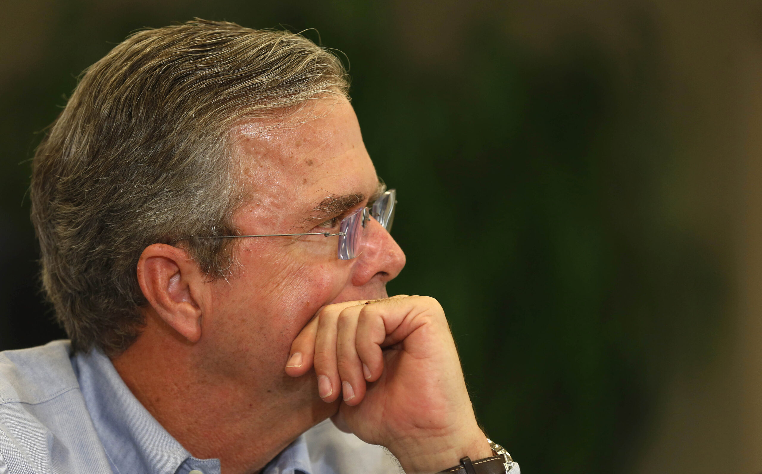 What kind of Bush is Jeb?